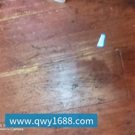 星空体育 可持续材料应用